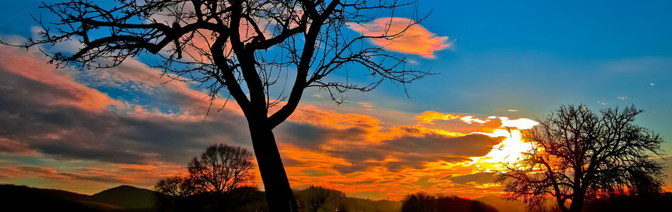 【APP Store】认证的手机号自动轰炸