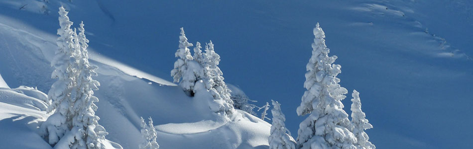 故障诊断的手机号测压平台